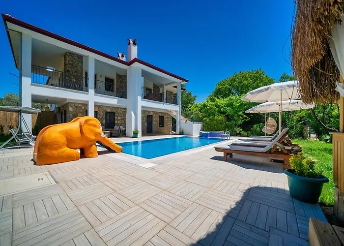 Limon Villa